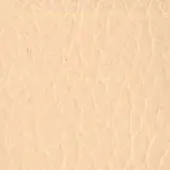 Beige textured surface with interwoven linear pattern, subtle graining, and soft diffused lighting displaying organic tonal variations.